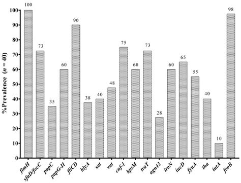 Bacterial Morphotypes as Important Trait for Uropathogenic E. coli ...