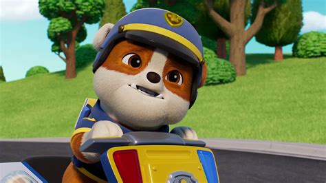 Watch PAW Patrol Season 12 Episode 7: Search & Rescue: Pups Help the ...