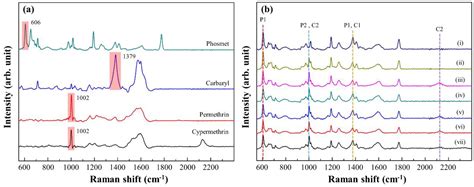 Gold Nanoparticle-Coated ZrO2-Nanofiber Surface as a SERS-Active ...