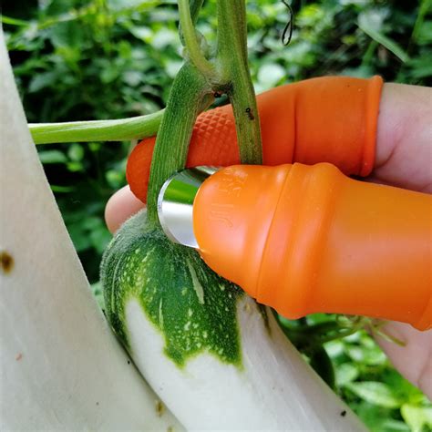 花椒采摘器掐尖神器拇指刀摘菜专用豆角摘辣椒神器水果疏花疏果剪_虎窝淘