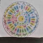 MahaVastu Plastic Shakti Chakra | Transparent Direction Vastu Compass ...