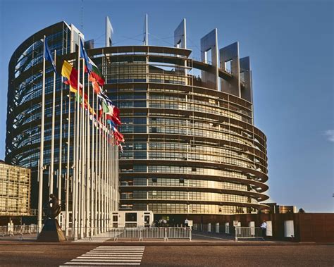 Protectionism 的图像结果