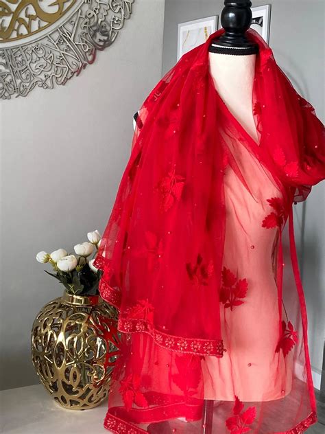 Partywear Net Dupattas