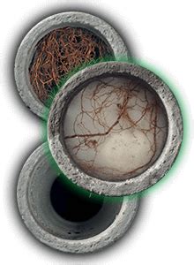 How to Use RootX 的图像结果