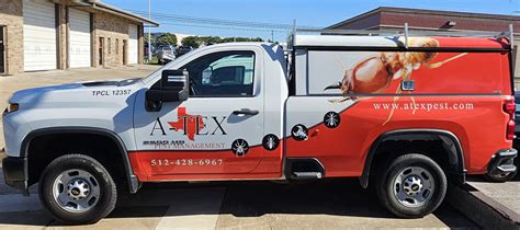 Stink Bug Control Control in Austin | A-Tex Pest Management