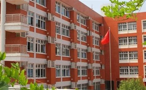 郑州新栋外国语学校2022年网上报名指南_我校_教育_金水区