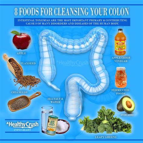 Colon Cleanse Smoothie Fast Metabolism Diet