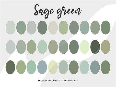 Sage Green Color Palette: 30 Procreate Swatches With HEX Codes - Etsy ...