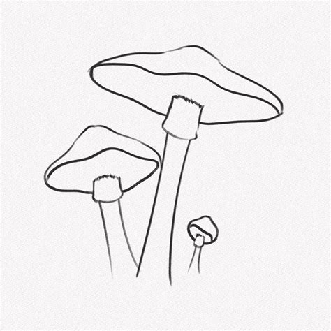 Mushroom Drawing Easy Realistic at Nancy Grondin blog