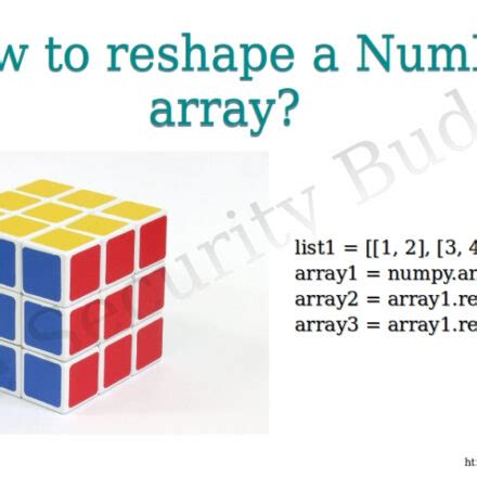 Image result for Shape Array Python