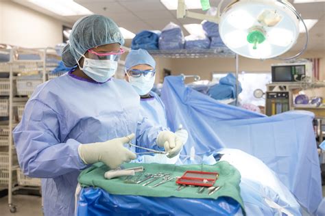 Surgical Technology Program 的图像结果