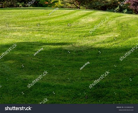 Freshly Cut Lawn Cut Grass Park Stock Photo 2210802039 | Shutterstock