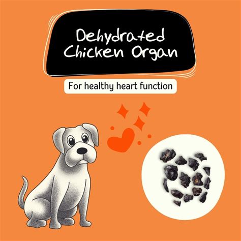 Chicken Organ | Dehydrated