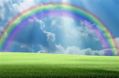 Image result for Rainbow Design CSS CodePen