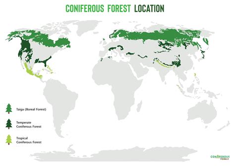 Climate Of Coniferous Forest