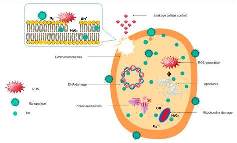 Fighting Phytopathogens with Engineered Inorganic-Based Nanoparticles