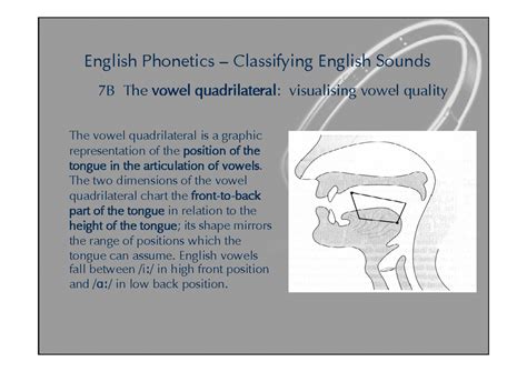 Vowel Quadrilateral - 7B The vowel quadrilateral: visualising vowel ...