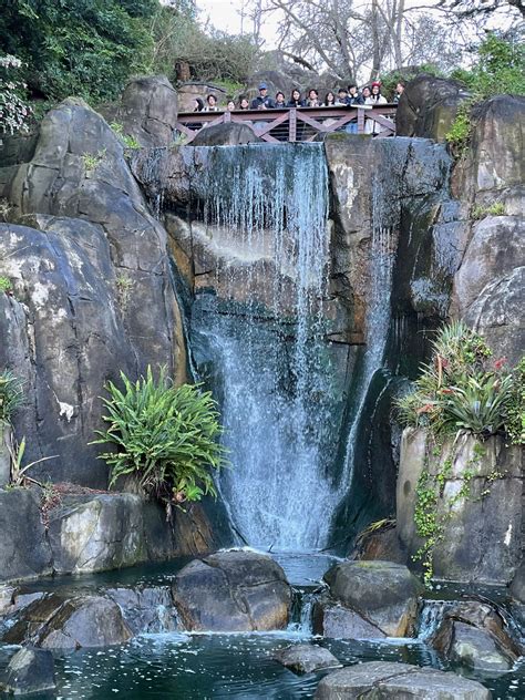 International Students Visit Golden Gate Park and Ocean Beach – Skyline ...