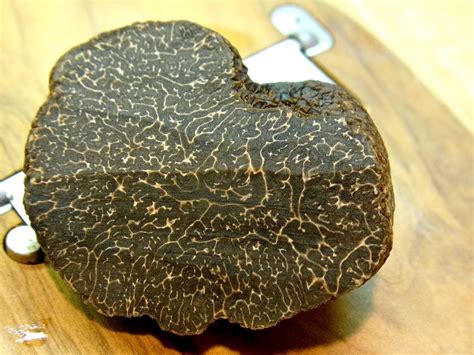 Know everything about Black Truffles - Spanish Truffle