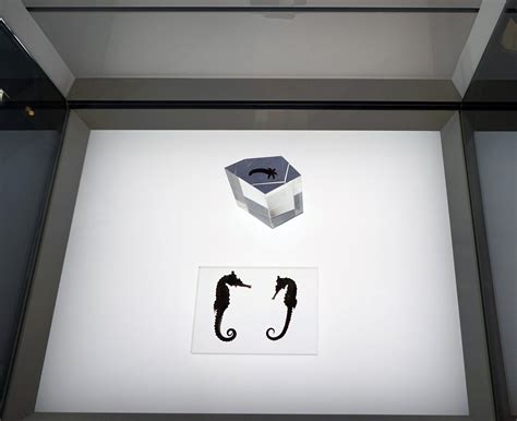 BioMess 的图像结果