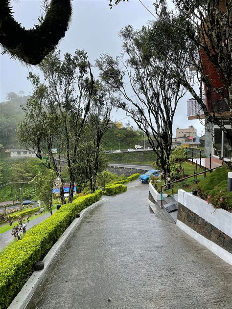 SHOLA CROWN RESORT - MUNNAR (Muthuvan Kudi) - Inn Reviews, Photos, Rate ...