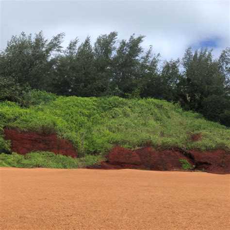 Exploring the Beauty and Wonders of Red Sand Beach - TooLacks