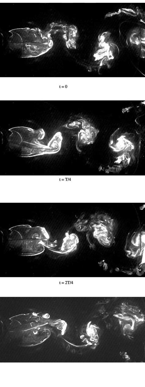 Image result for Dye Flow Visualization