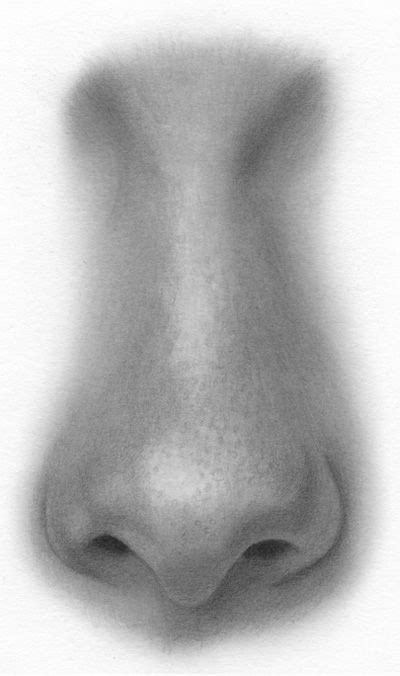 draw online free