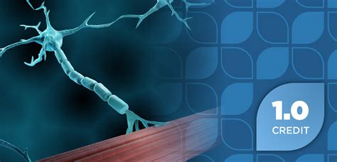 Surface Anesthesia 的图像结果