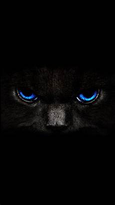 Iphone Black Eye Wallpaper by Black Cat Iphone 5 Wallpaper Dengan Gambar Kucing Iphone Black Eye Wallpaper