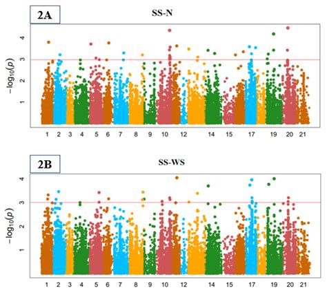 Genome-Wide Association Mapping for Stomata and Yield Indices in Bread ...