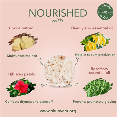 Buy Hibiscus Punch Shampoo Bar- Dry & Frizzy hair Online in India