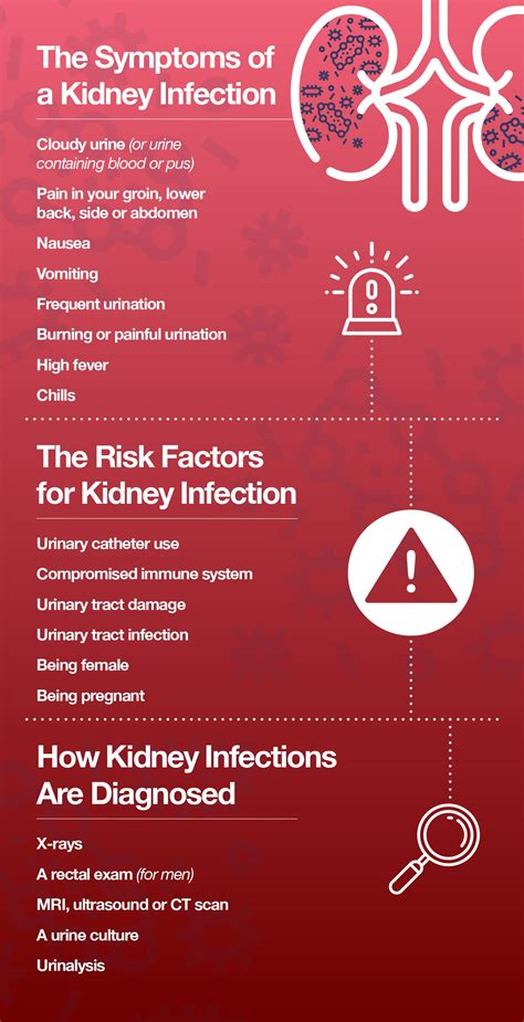 Kidney Infection