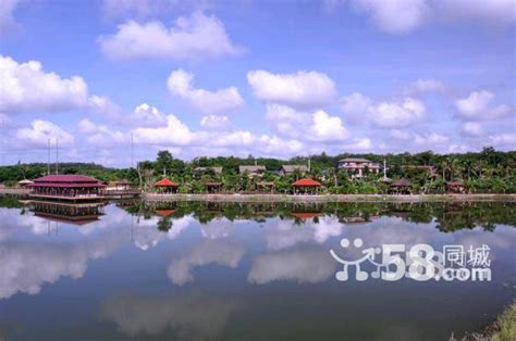 海口沙坡湿地水库风景,森林植被,自然风景,摄影素材,汇图网www.huitu.com