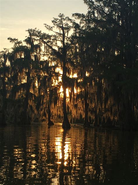 Topographic Flat 的图像结果