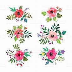design fiori vector flowers set floral collection with watercolor design fiori vector flowers set floral collection with watercolor