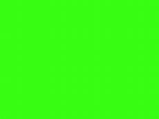 Neon Wallpaper Plain by Neon Colors Backgrounds Wallpapersafari Neon Wallpaper Plain