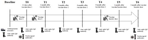 BNT162b2 Booster Dose Elicits a Robust Antibody Response in Subjects ...