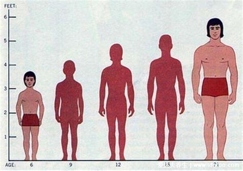 古代一尺等于多少米厘米换算，七尺男儿是多高(1米7左右) — 爱达夫养生