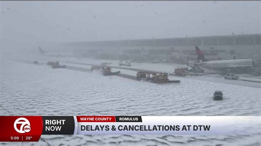 Snow storm grounds flights at Detroit Metro Airport as bomb cyclone hits Michigan