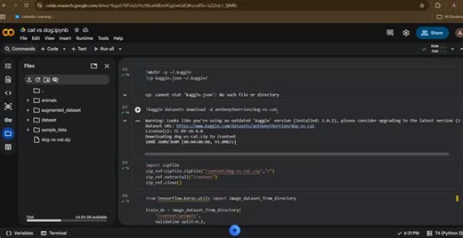 #deeplearning #cnn #tensorflow #keras #python #computervision #machinelearning #learninginpublic | Asadullah Malik
