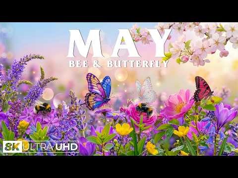 Springtime Splendor 4K | Fluttering Butterflies & Buzzing Bees 🌸 A Season Full of Bloom