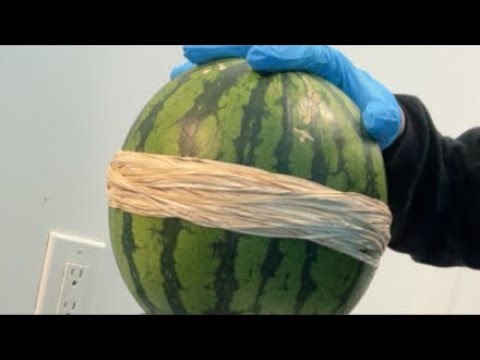 EXTREME WATERMELON EXPLOSION!!!