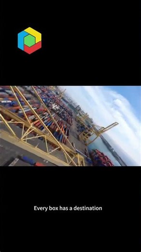 Inside a Container Terminal: What a Freight Forwarder Actually Checks
