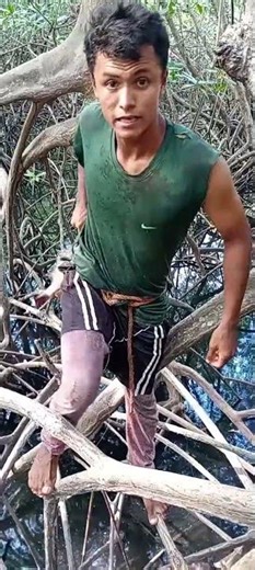 Best Red Snapper Catch of the Day! 🐠Fishermen Strike GOLD with Giant Snapper! 💥🎣