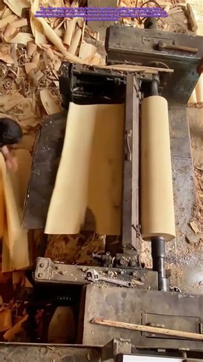 Rotary Peeling: How Lathes Transform Logs into Veneer Sheets