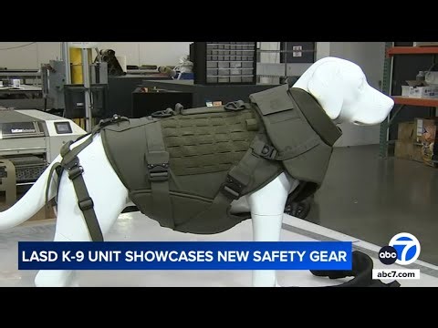 Fallen LASD K-9 inspires new ballistic vest designed to protect police dogs in the line of duty