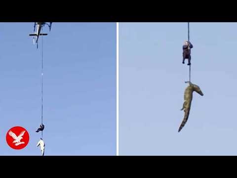 Crocodile 'who ate businessman' is airlifted from South African river