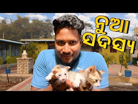 MINI ZOO ର ଦୁଇ NEW ମେମ୍ବର ❤️