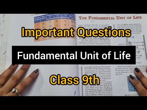 Class 9 Biology | The Fundamental Unit of Life – Most Important Questions 🔬 | Must Come in Exam 📚🚀